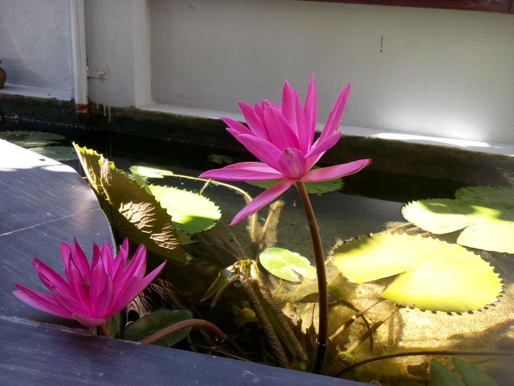 Green Coco Homestay ฮอยอัน ภายนอก รูปภาพ