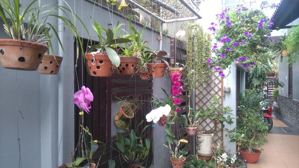 Green Coco Homestay ฮอยอัน ภายนอก รูปภาพ