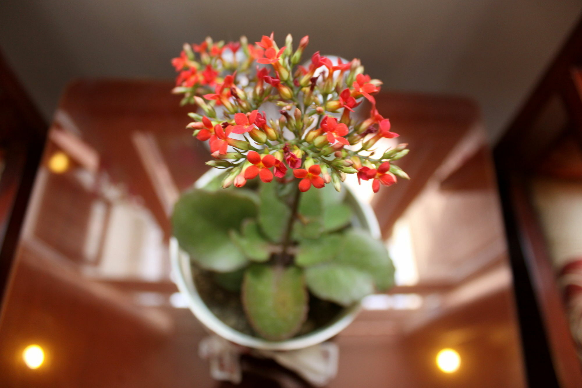 Green Coco Homestay ฮอยอัน ภายนอก รูปภาพ